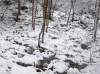 winter01.jpg