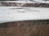 winter04.jpg