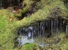 winter06.jpg