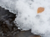 winter16.jpg