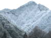 winter17.jpg