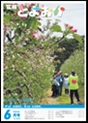 広報とよおか6月号　315号