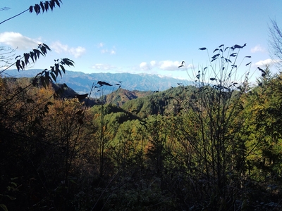 林道大島虻川線